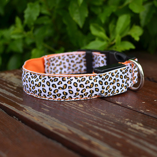 9c0930743c199a4dde1ff34644f09445