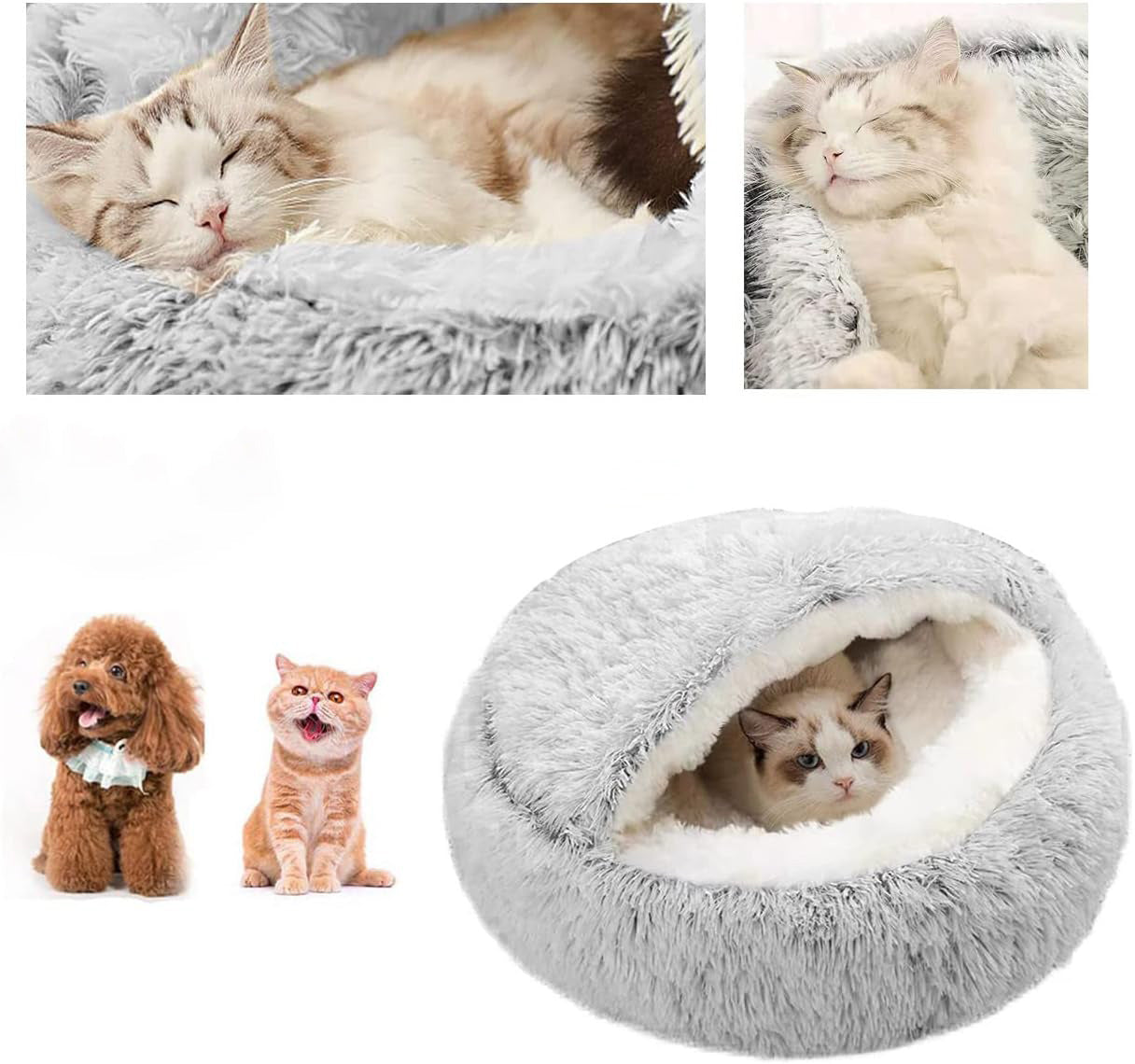 545f97239bb68d4d5e39ace9e8ed0500