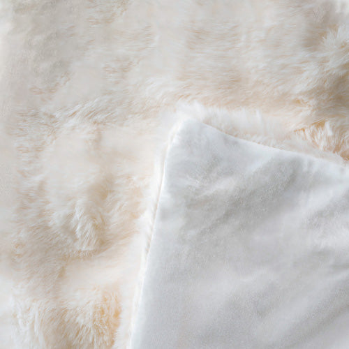 58501958b22913e14fac244f4c276a7e