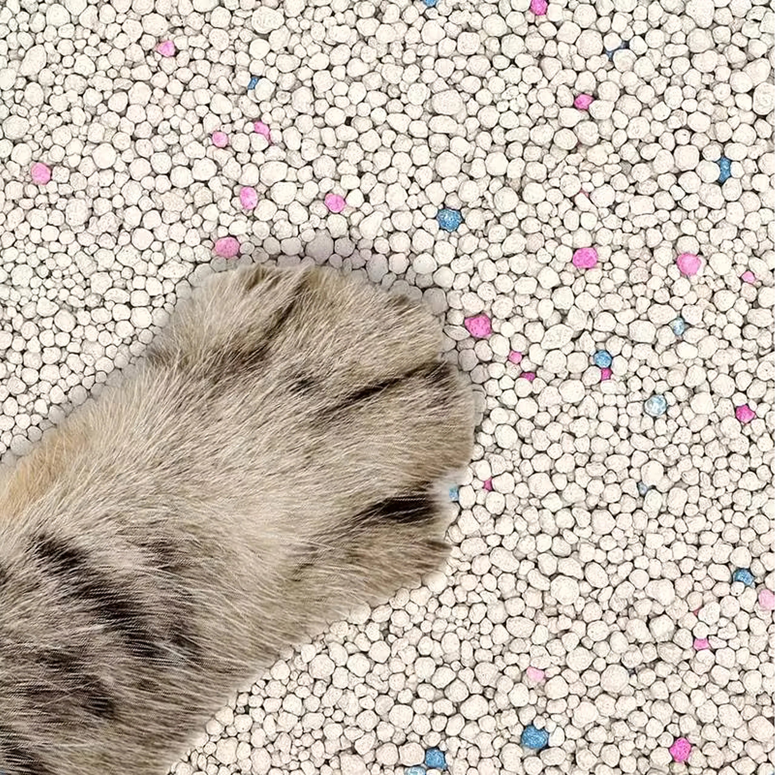 b495804ad212fdccb80359974200aec4