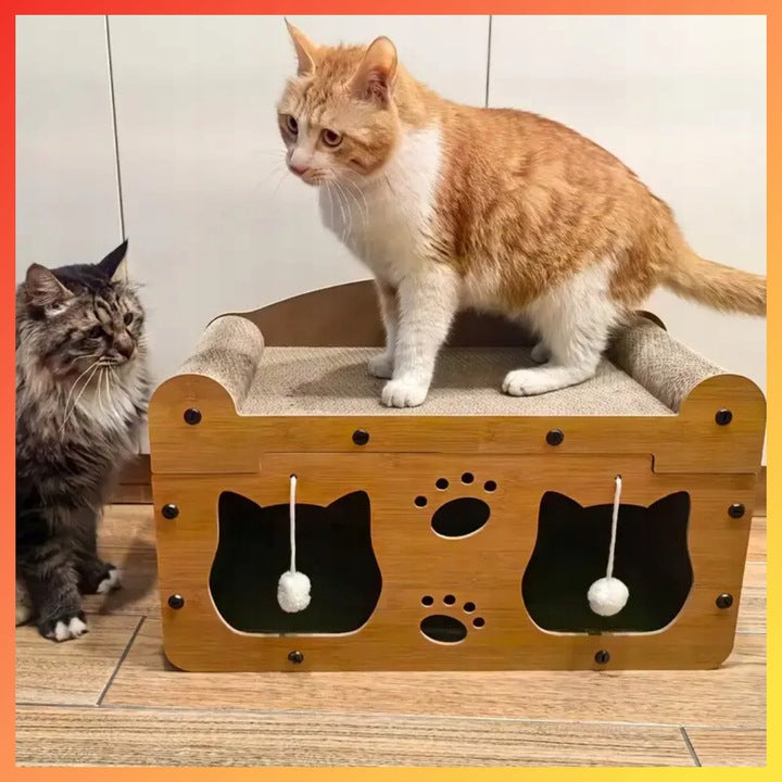 411686f9ab23b9d51691194e023b9290