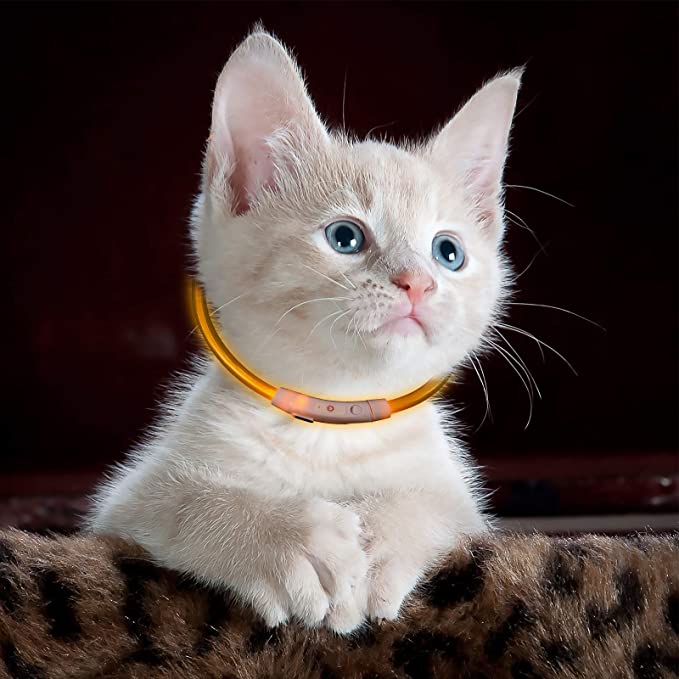 Zgarda cu LED, Zola®, pentru caini/ pisici, incarcare prin USB, 3 moduri de iluminare, din cauciuc, rezistenta la apa, lungime 47 cm, abilitate de a se scurta, galben