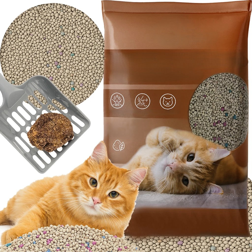 ceac3201b0573176e2b37315054ef943