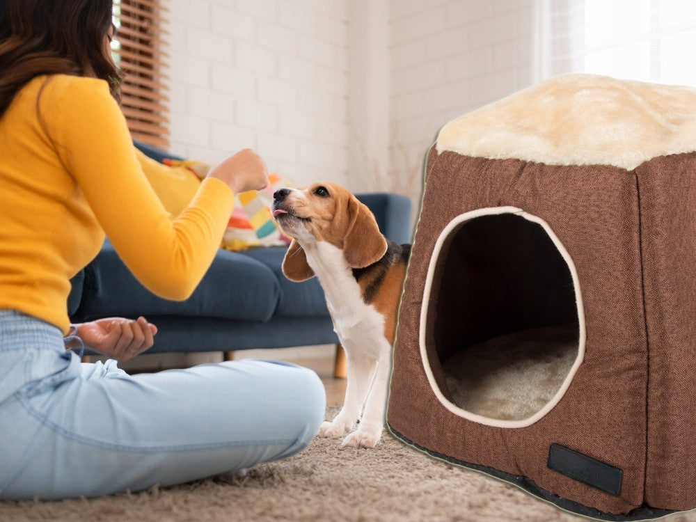 515dd23d3da1d4c3ab9939461d9e19b7