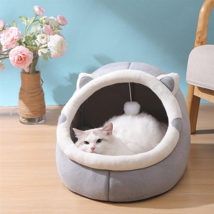 5e2e13cf3fa57f9882181d7b4284da11