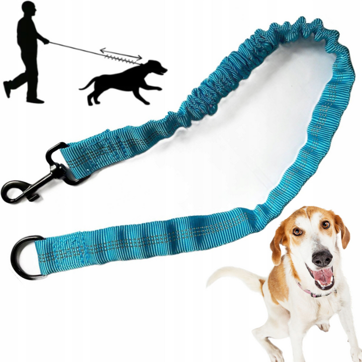 Amortizor pentru lesa de dresaj, Zola, cu carabina si inel din metal, lungime 95 cm, albastru
