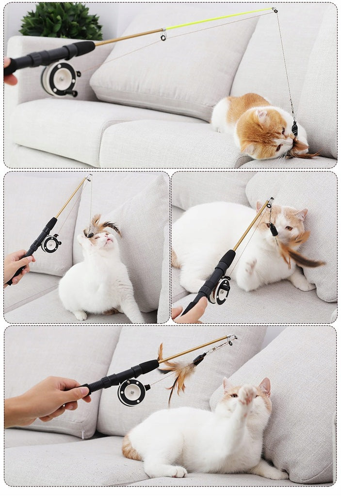 0b398aec37ca5d6d93260e47d50d5e31