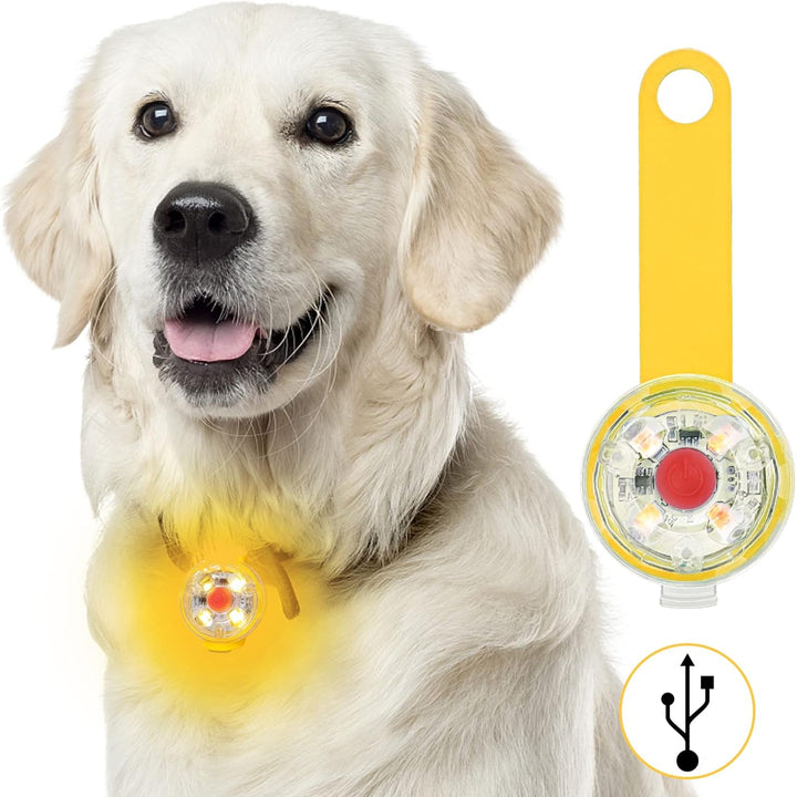 Pandantiv LED pentru zgarda, Zola, 3 moduri de iluminare, rezistent la apa, plastic, galben