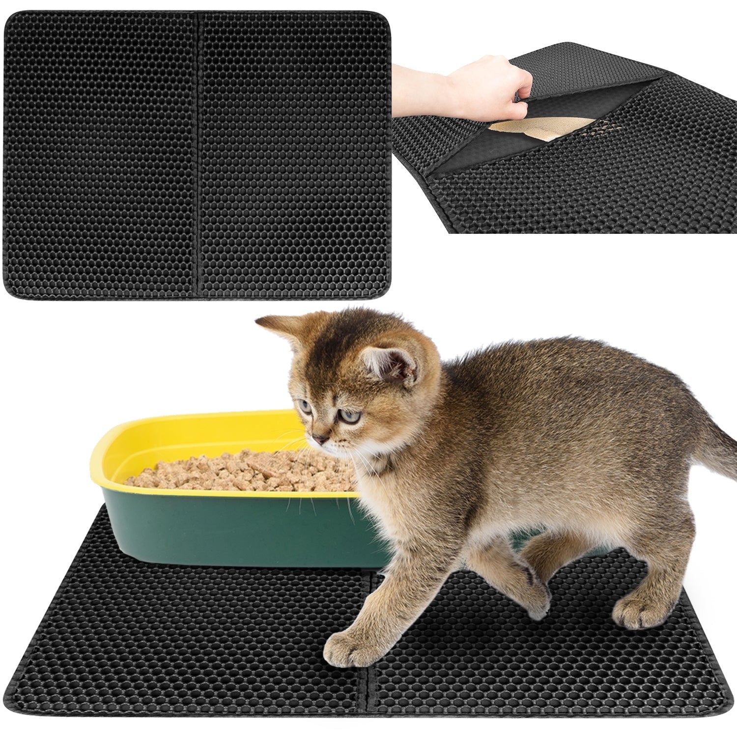 3f597e2943e2ae8fd4f982e8dfe54c21