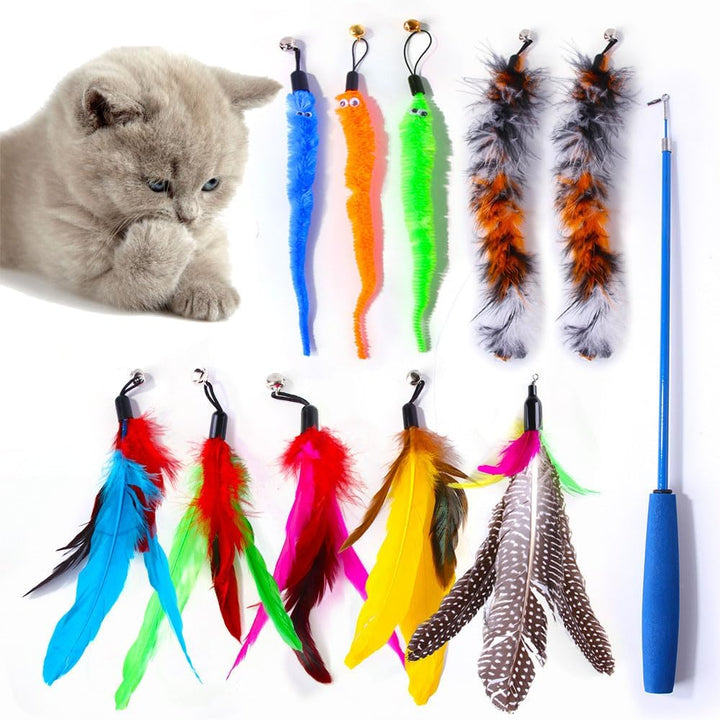 Jucarie pentru pisici, Zola, model undita cu 10 pene, din plastic, multicolora