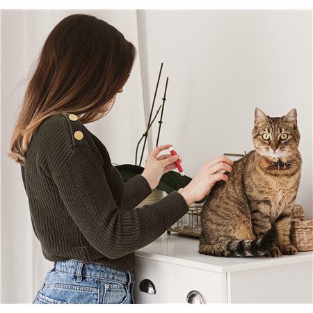 2ae1dbb3a3b561b3c34a7fb2dcbc142a