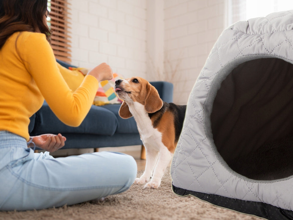 e3056f22b5c541ba42712bf57ec4a3fa