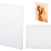 Panza canvas pe sasiu 30x40