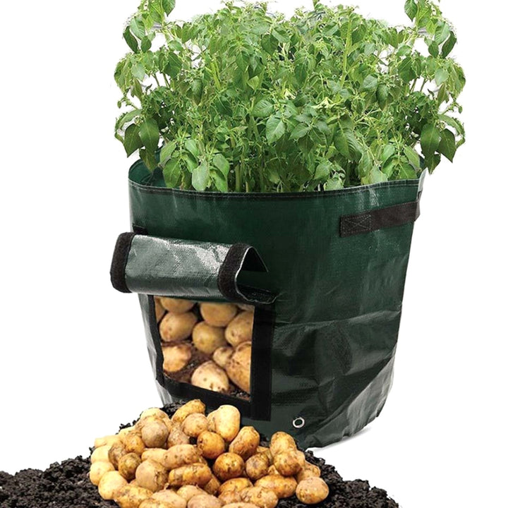 Sac pentru cultivare cartofi / morcovi / ceapa / usturoi, reutilizabil, rezistent la umiditate si UV, plastic, 33x47 cm, verde
