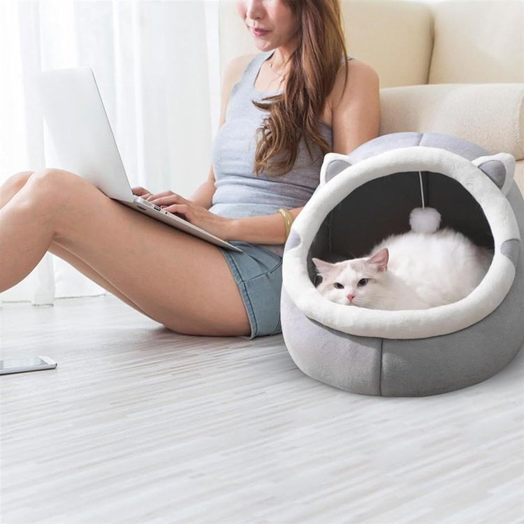 6404943768dfab38d11c2e8e1869096e