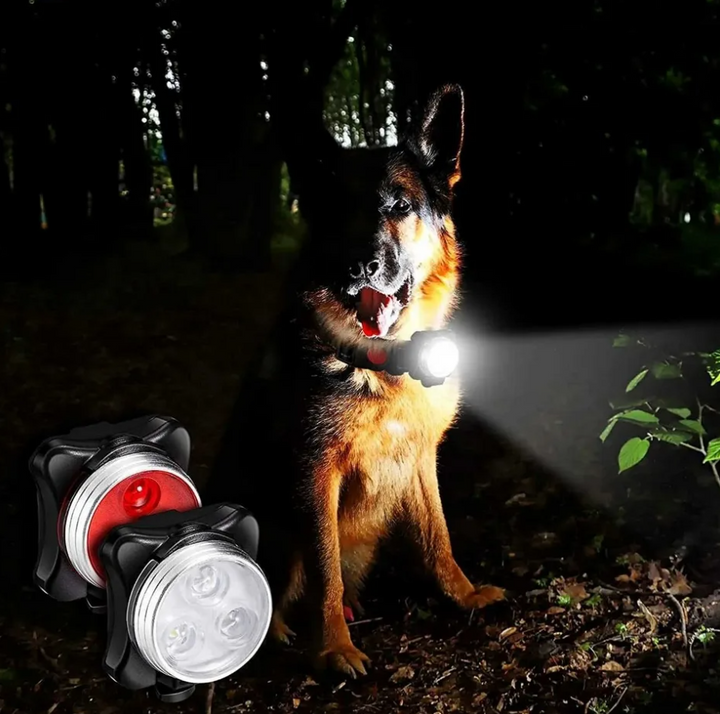 Set 2 lumini LED pentru zgarda animalelor, Zola®, lumina alba si rosie, silicon si plastic, IPX5, 4 moduri de iluminare, negre