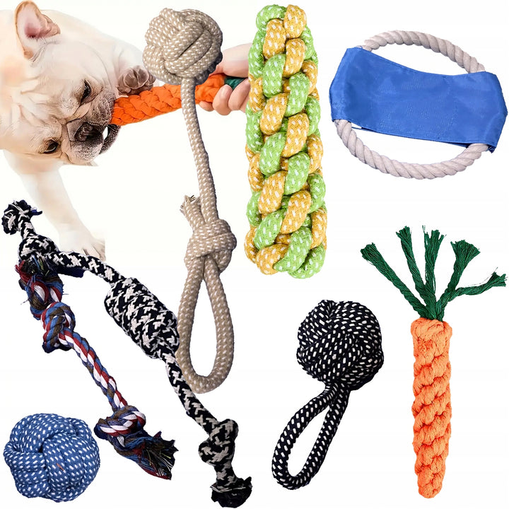 Set 8 jucarii pentru animale de companie, Zola, interactive, bumbac, PE, multicolore