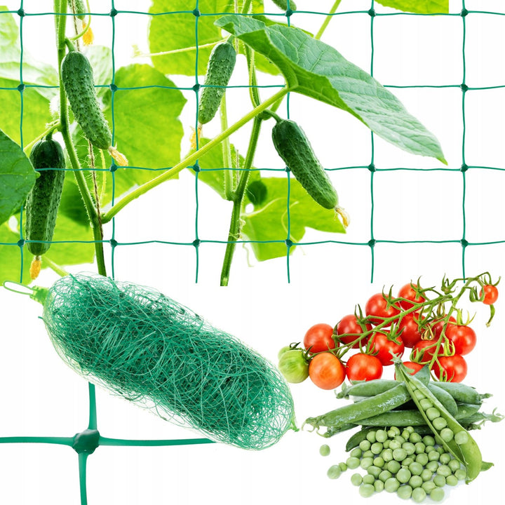 Plasa pentru plante cataratoare,  Zola, castraveti, mazare, fasole si alte legume, Rezistenta UV, 2x 10 m, dimensiuni ochiuri 14 x 18 cm, PP, verde