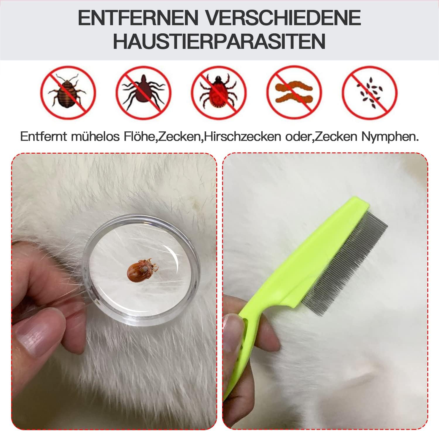 1ae38c905e1c0a4b6269f0c62efa3949