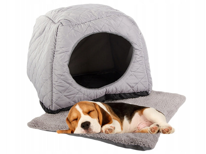 53f658041ec59bda54bea03b41020240