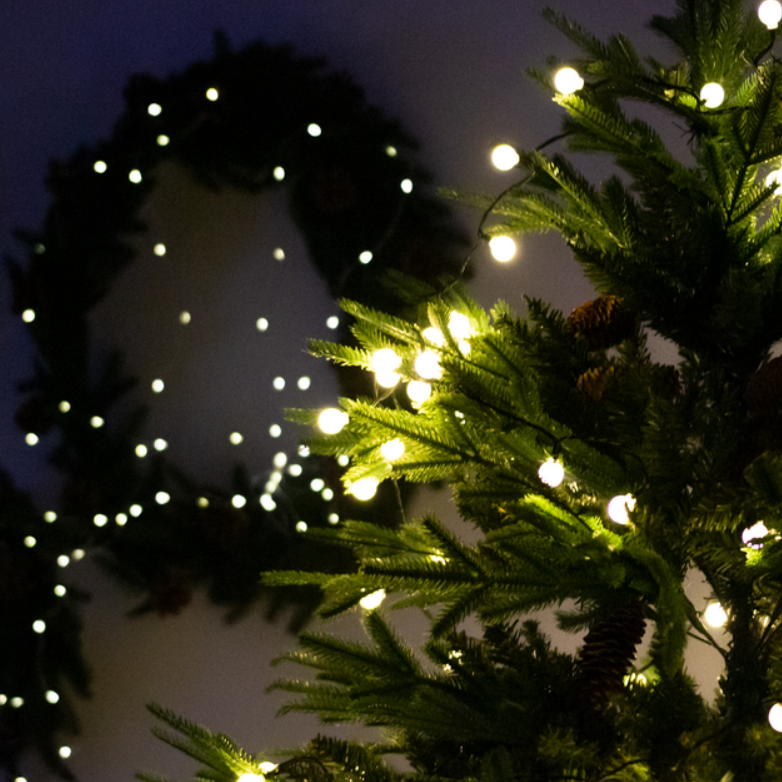 2313fe1fe0f62c7704b372c4c40c382c