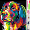 catel multicolor