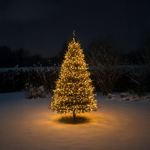 74540fd9617d169e0b2abb28f6564f11