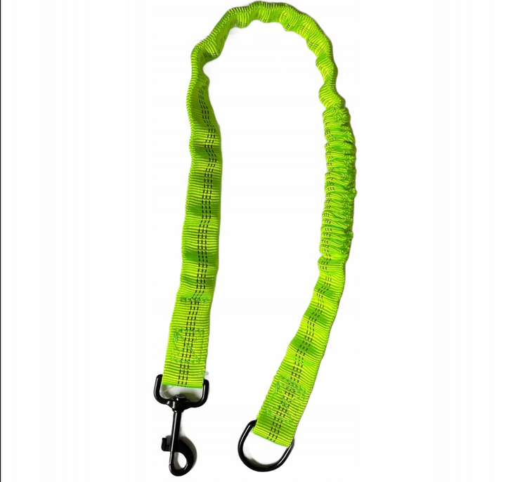 Amortizor pentru lesa de dresaj, Zola, cu carabina si inel din metal, lungime 95 cm, verde