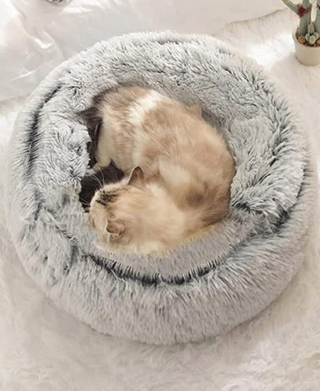 de87fc0d06c9bf27c35eebb2c34ef198