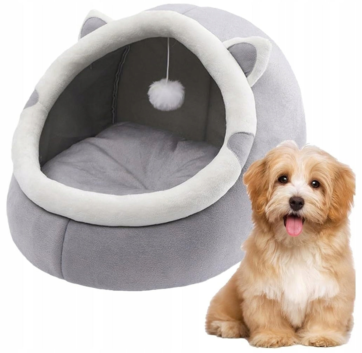 e2b0884cd29c9bfa1a724ede2f0c8161