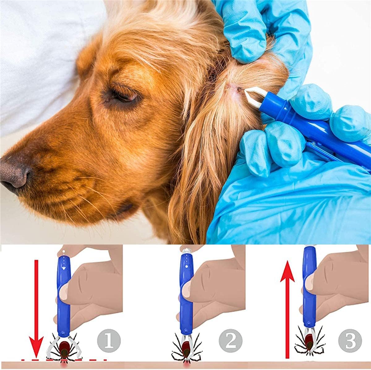 621677fe5dee2aeba4b9683e4fb8d01c