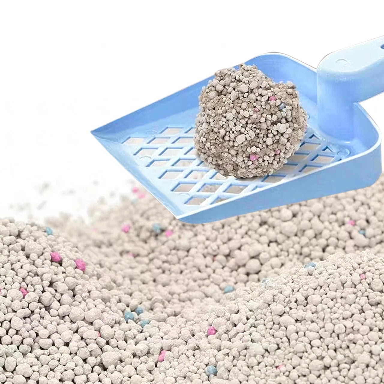 f9add816c1a06a2a7431849719cf7b81