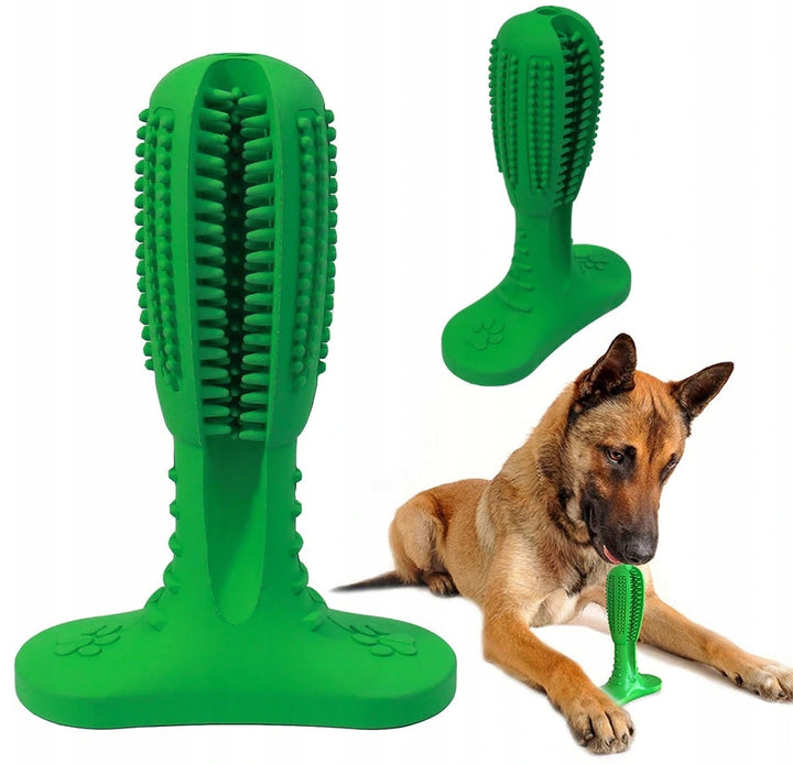 Jucarie de catei, Zola®, pentru curatarea dintilor, indeparteaza resturile, intareste gingiile, curata limba, cu 2 tipuri de suprafete, din cauciuc, in forma de cactus, 10.3x4.2x14.6 cm, verde