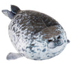 Foca