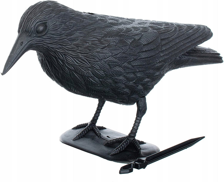 Sperietoare corb, Zola, pentru porumbei, neagra, 33x20 cm