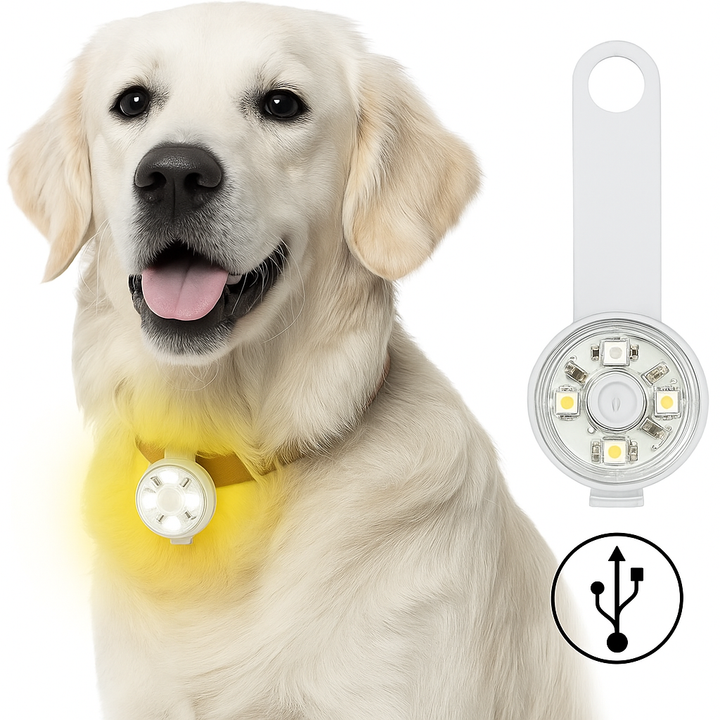 Pandantiv LED pentru zgarda, Zola, 3 moduri de iluminare, rezistent la apa, plastic, alb