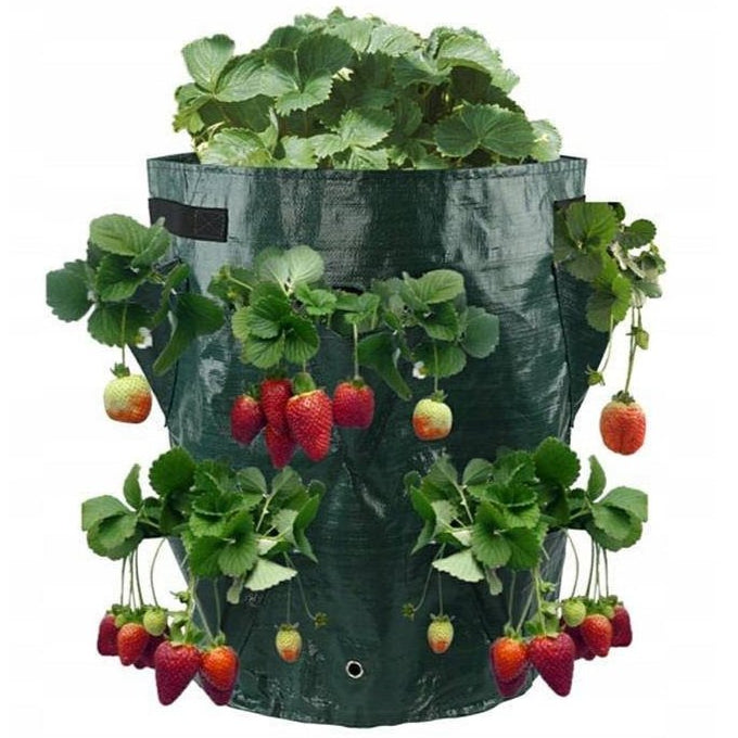 Geanta de crestere, Zola®, pentru cultivarea capsunilor, manere pentru transport, rezistent, verde inchis,  33x17 cm