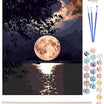 Peisaj nocturn cu luna plina