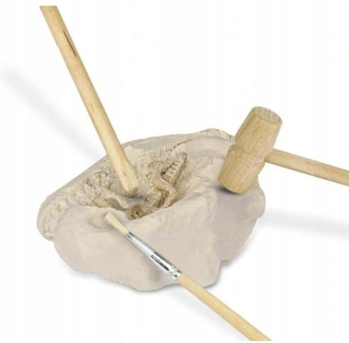 Set educativ de excavare si descopeire fosile, Zola, 5 dinozauri, arheologie, pentru dezvoltarea abilitatilor si concentrarii