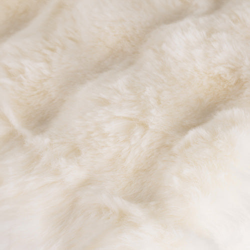 4190bd615553b041598acd39d273007a