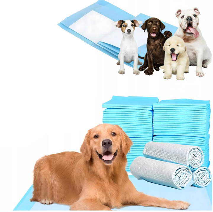 Set 50 covorase absorbante pentru animale de companie, Zola, de unica folosinta, igienice, impermeabile, 5 straturi, 40 x 60 cm, albastre