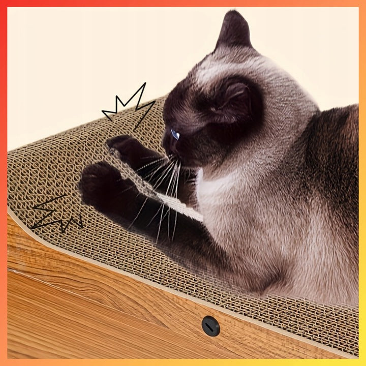 557c4043d4dc4e3b822349ba66260283