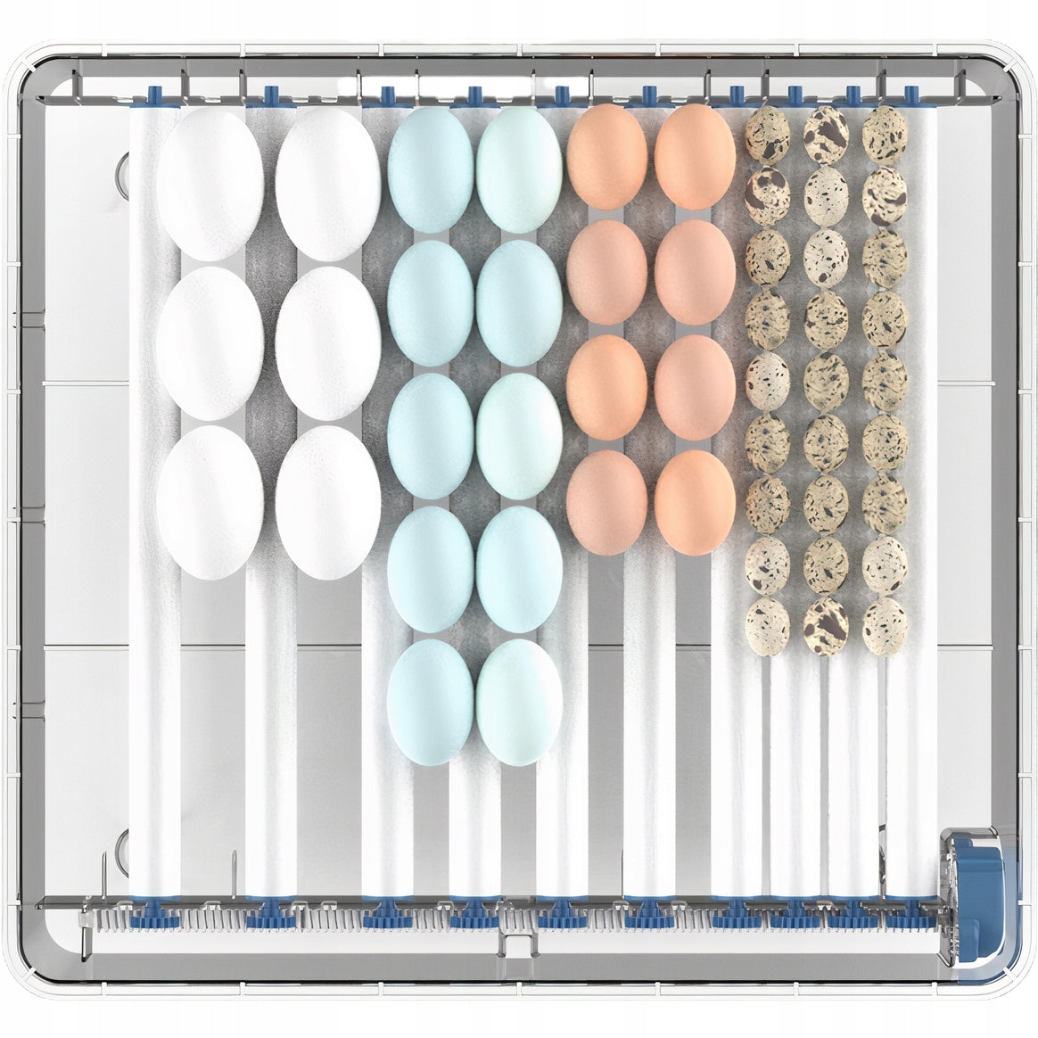 984b97774ad809c58130b82875284081