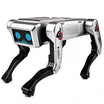 Robot interactiv patruped 