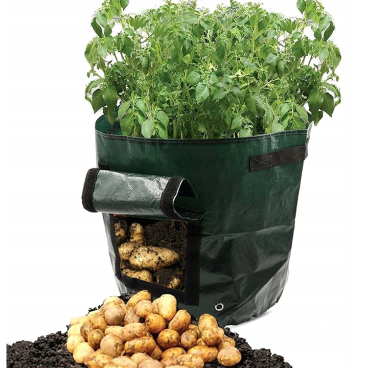 Geanta de crestere, Zola®, pentru cultivarea cartofilor, manere pentru transport, rezistent, verde inchis, 33 x 45cm