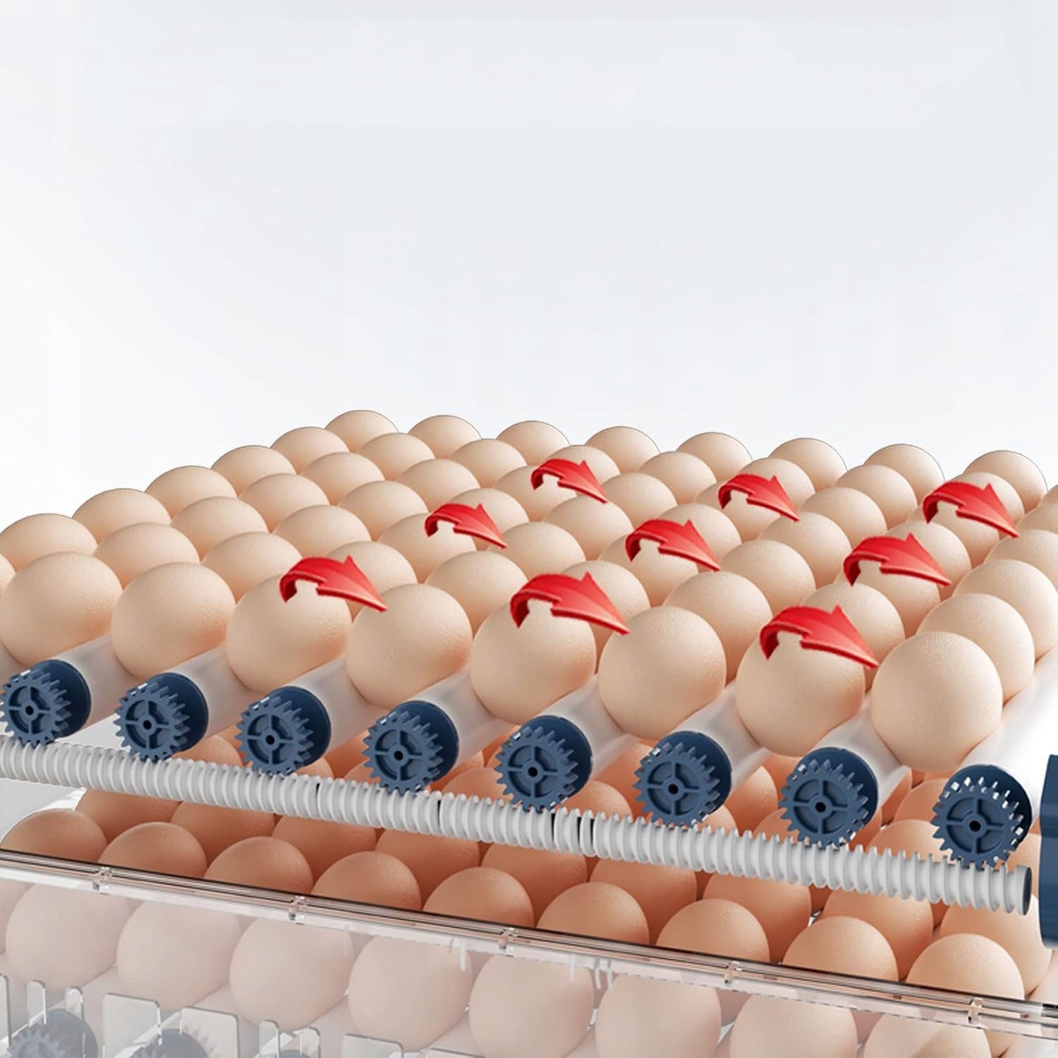 5bf50a58855bdf524ca76ec148994684