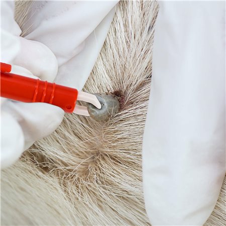 c350f99c5a8e11533633e4aa736df156