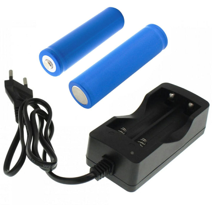 Incarcator pentru aculumatori cu doi acumulatori, Zola, LED informator stare de incarcare, tensiune alimentare de la 100 la 240V, negru
