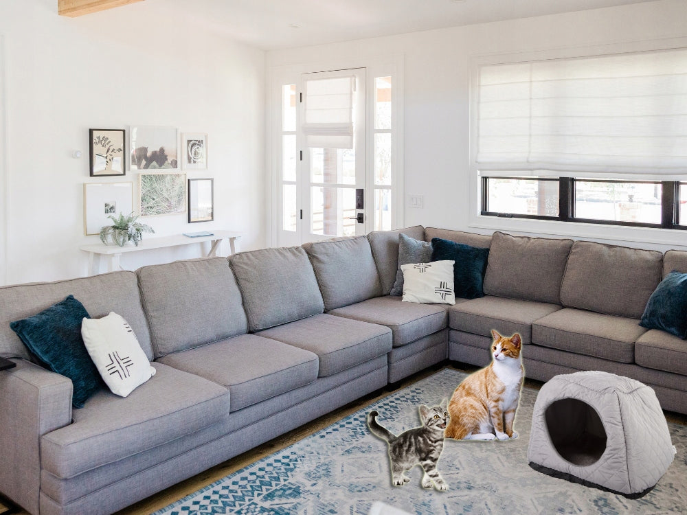 687516c451ac5563cafff9be671fc89a