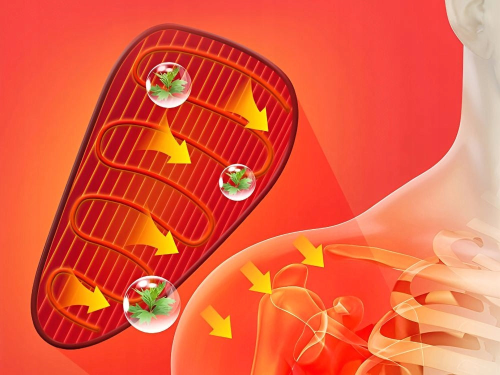 859fb41ed8a7229447268580cf5947fe